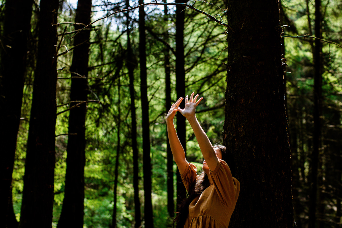 Forest Energy
