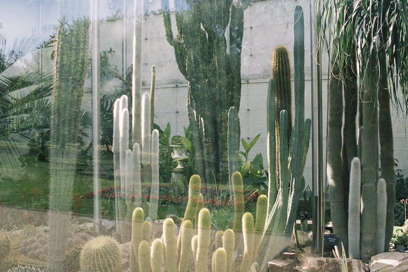 Sheffield Film Photographer